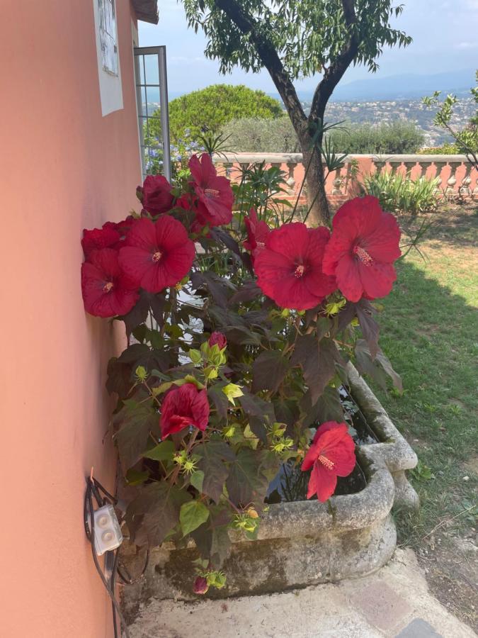 D'hotes Duplex Le Petit Mas Nicois De La Rose
